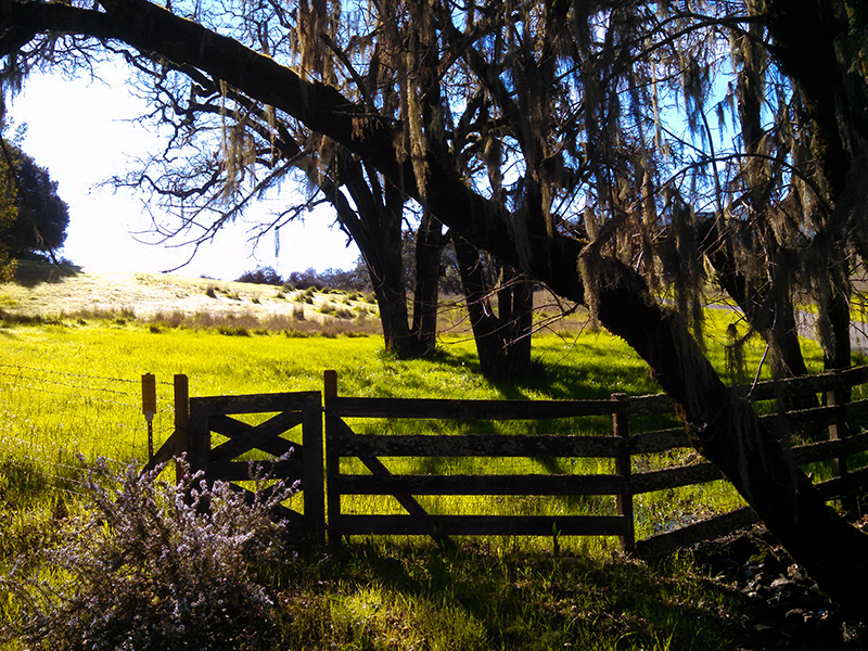 hope ranch