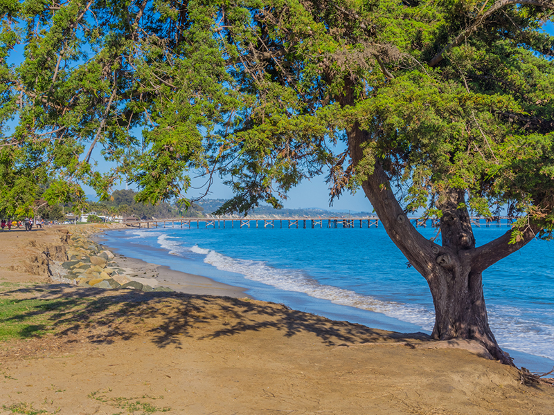 Goleta